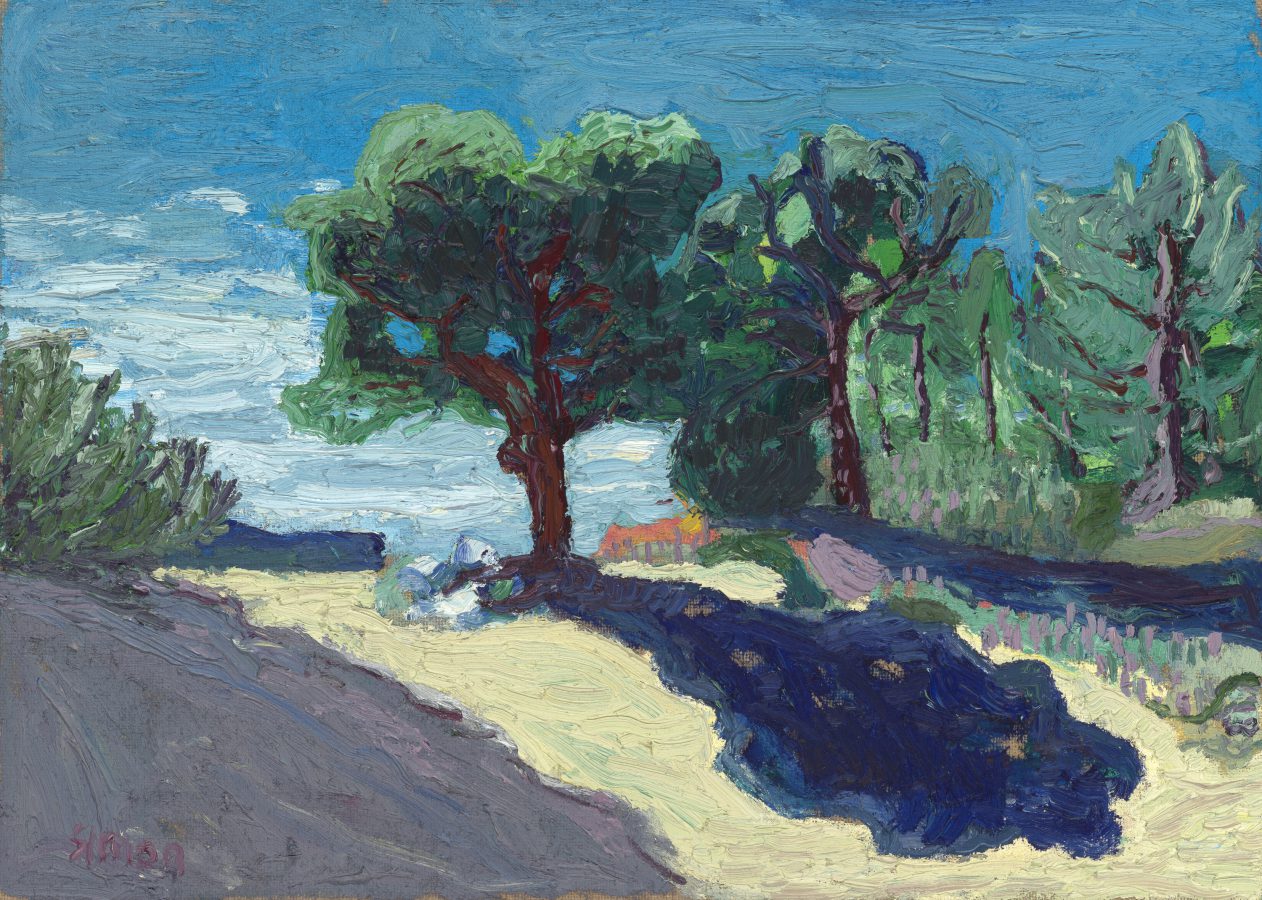 Baum in der Provence III (Rte des Baux)